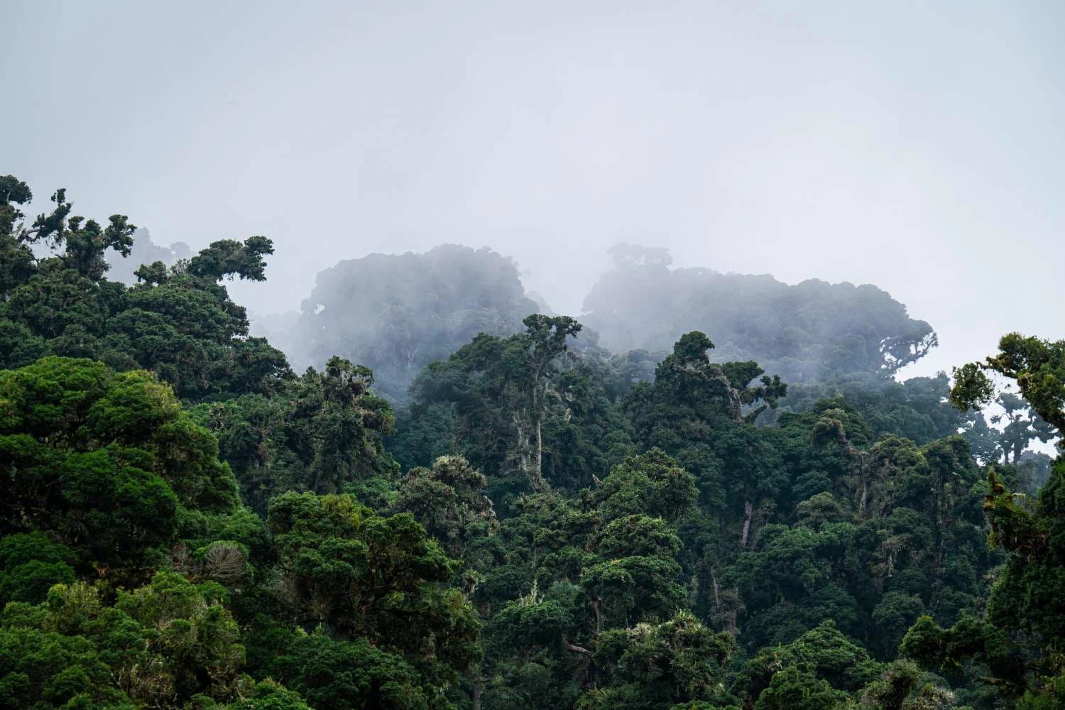 Highland scenery near Volcán, Chiriquí, Panama